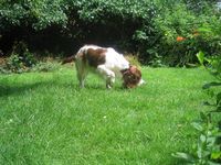 click for a larger view